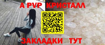 Альфа ПВП Будённовск