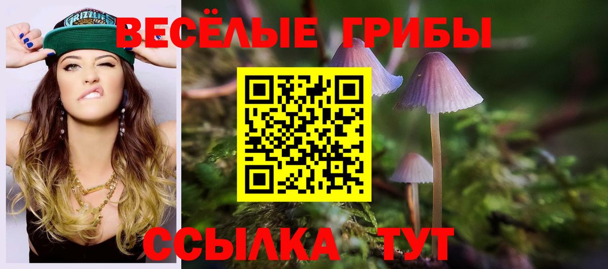 Псилоцибиновые грибы Psilocybine cubensis  где продают наркотики  Озёры  Вход с VPN  Псилоцибиновые грибы MAGIC MUSHROOMS 